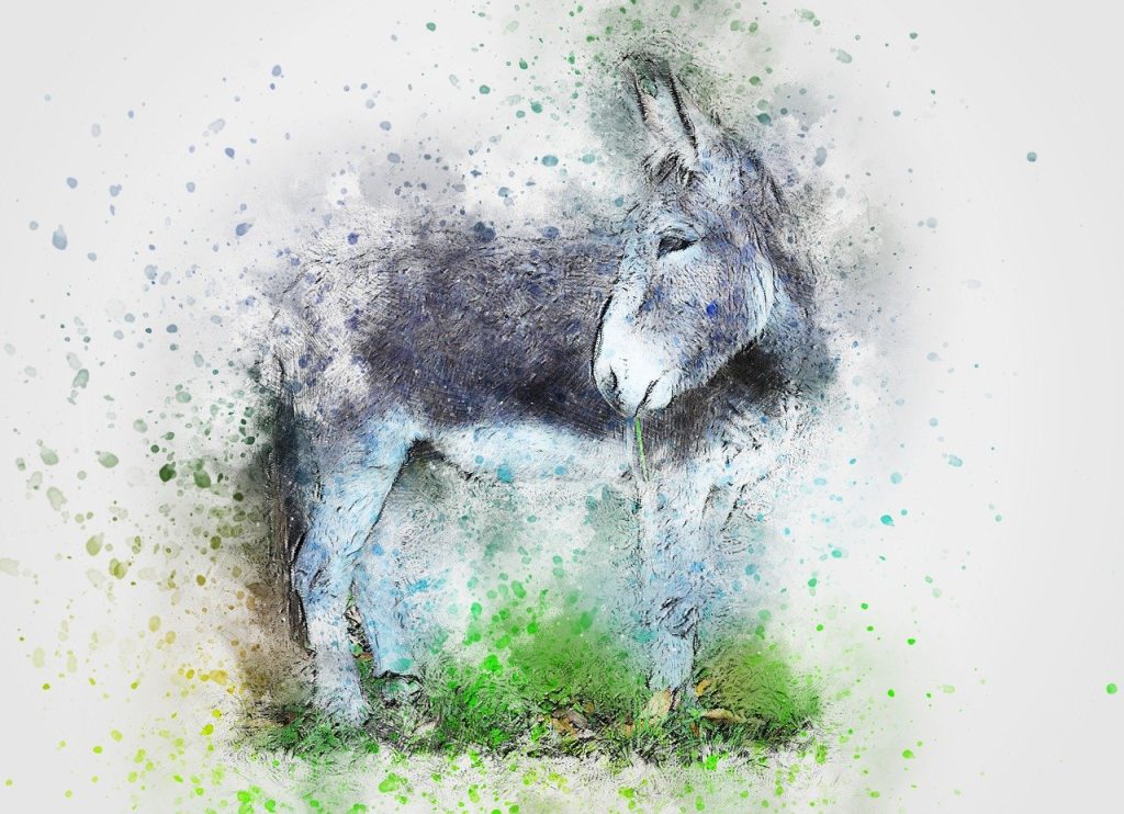 donkey, animal, art-2737253.jpg